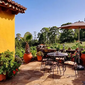  Ferienhaus Federico Spanien