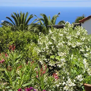  Apartment Casas Erel Spanien